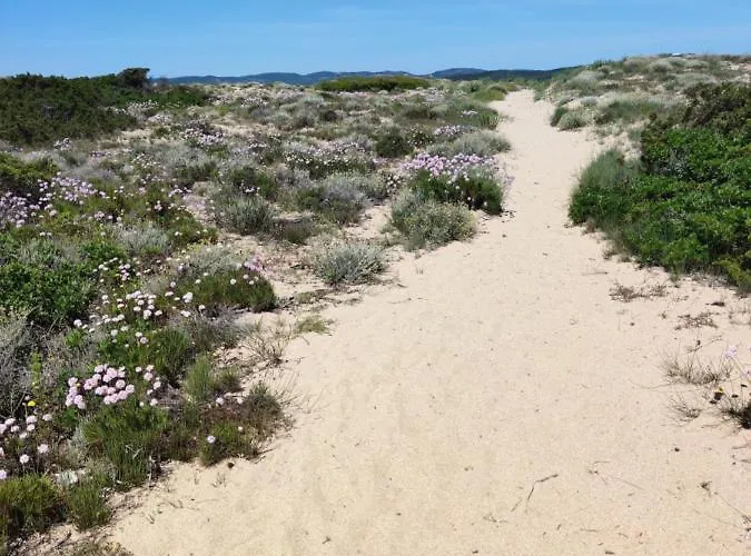 Fronte Mare Apartment Palau